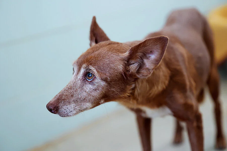 ethel 6T6A6245_1.jpg