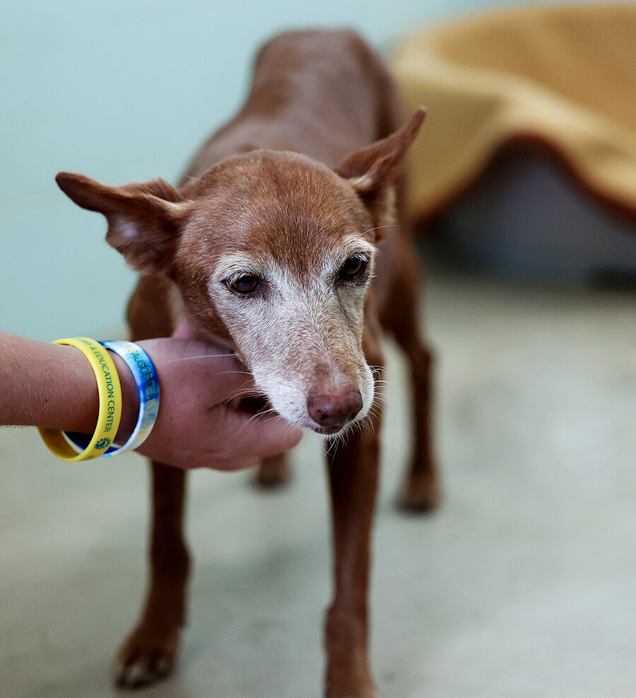 hazel hand 6T6A6259_1.jpg