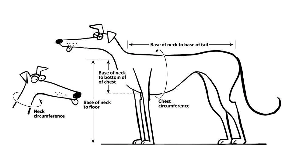 Hound-Tees Measurement Illustration.jpg