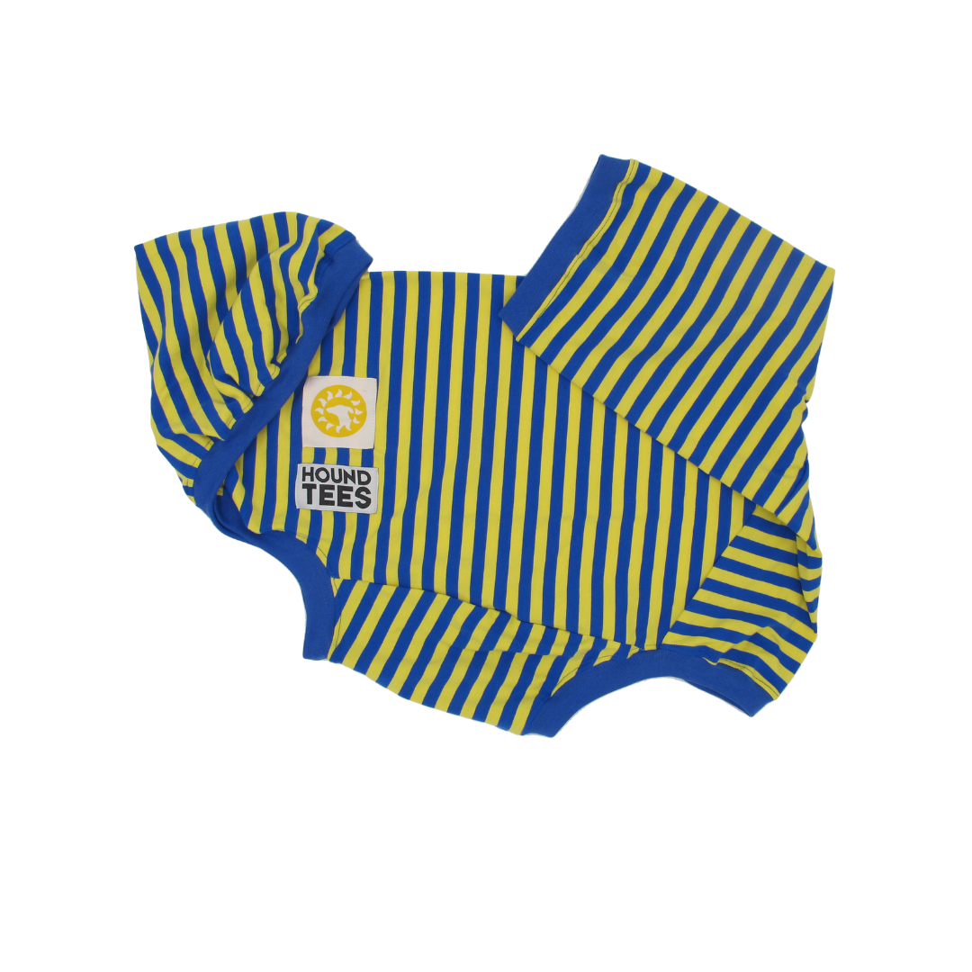 Skivvy Classic Hound-Tee.png