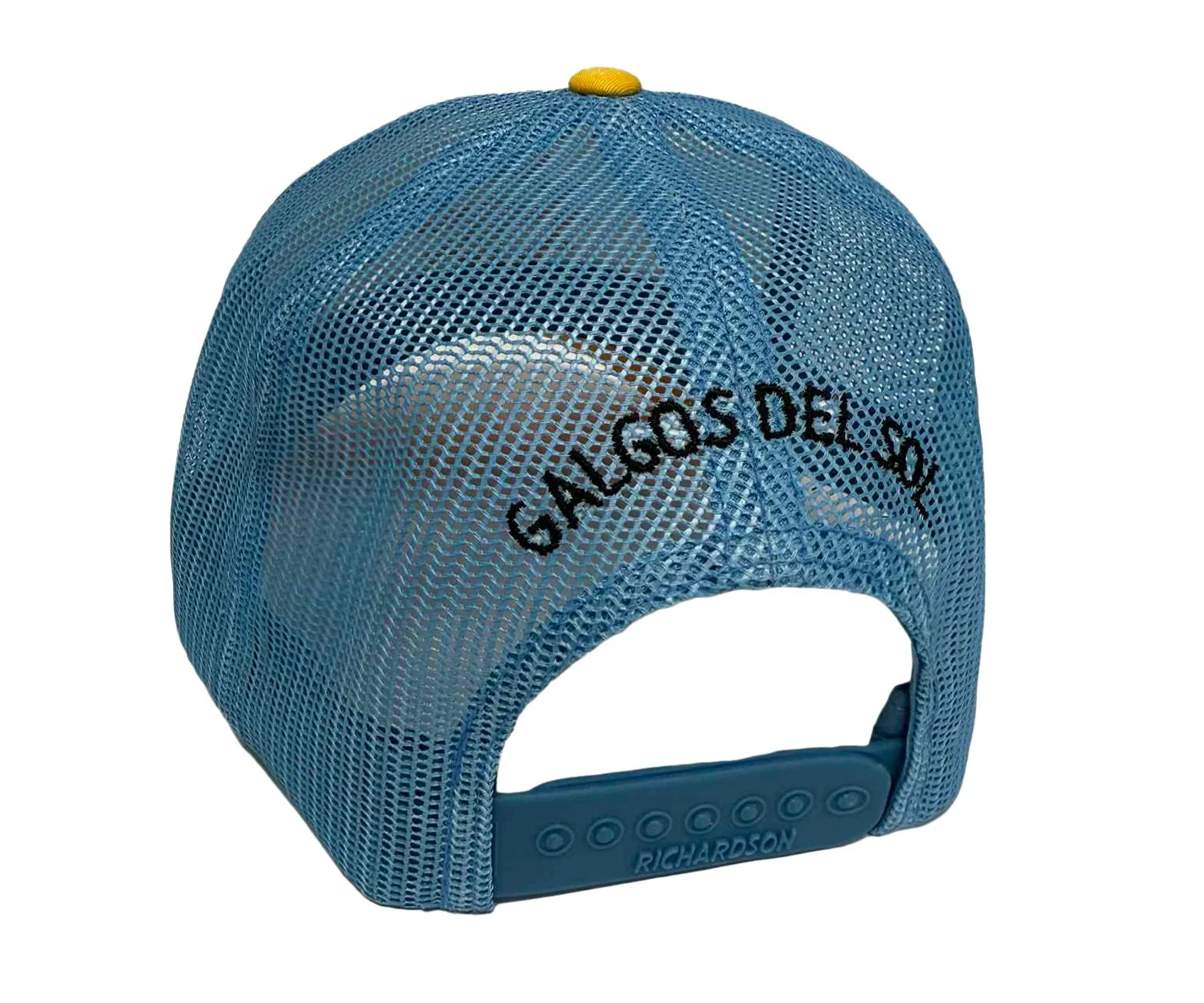 trucker-blue-back_1.jpg