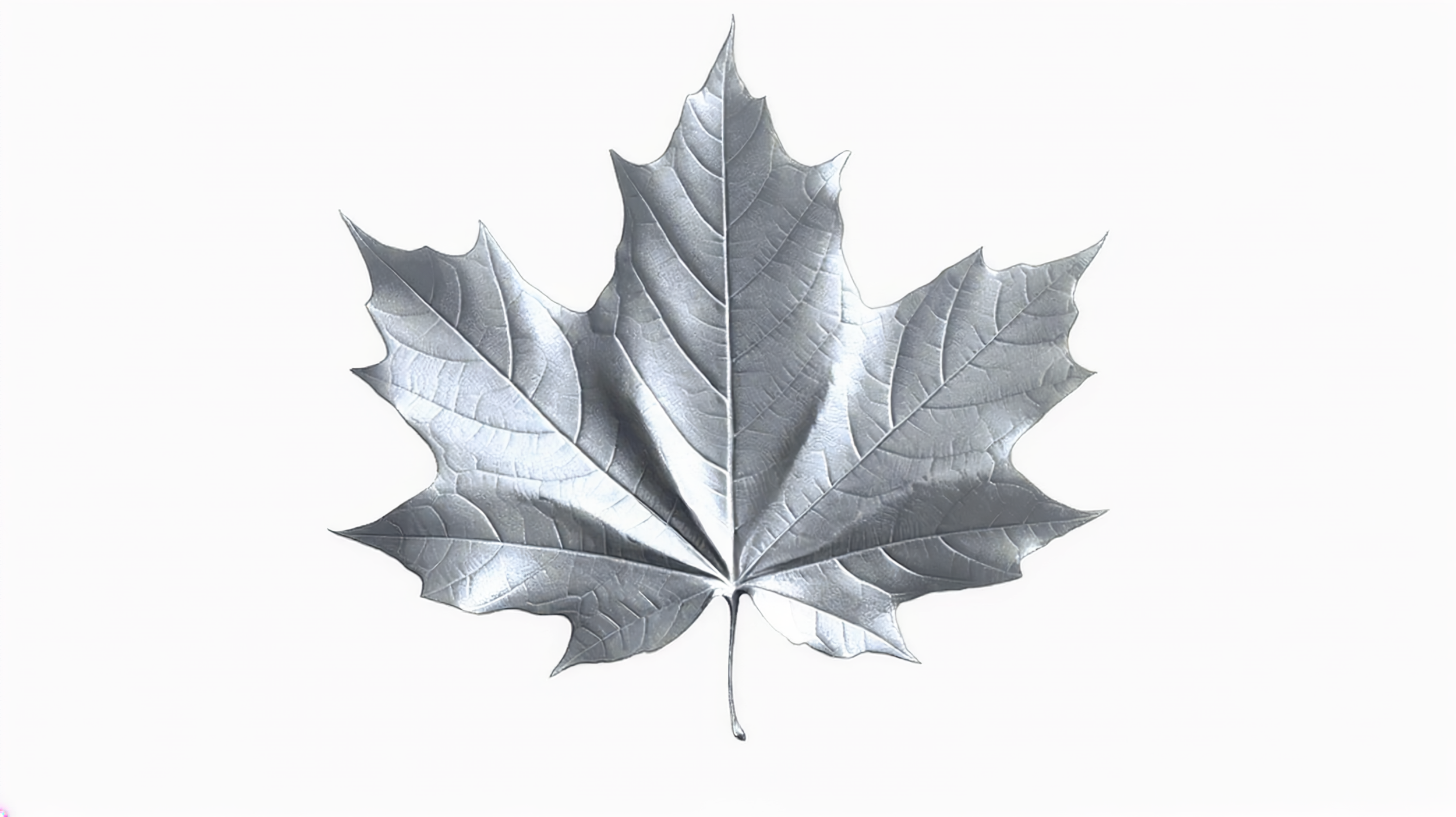 2f49ced5-f595-4f24-b00b-46dc46ba3081.png