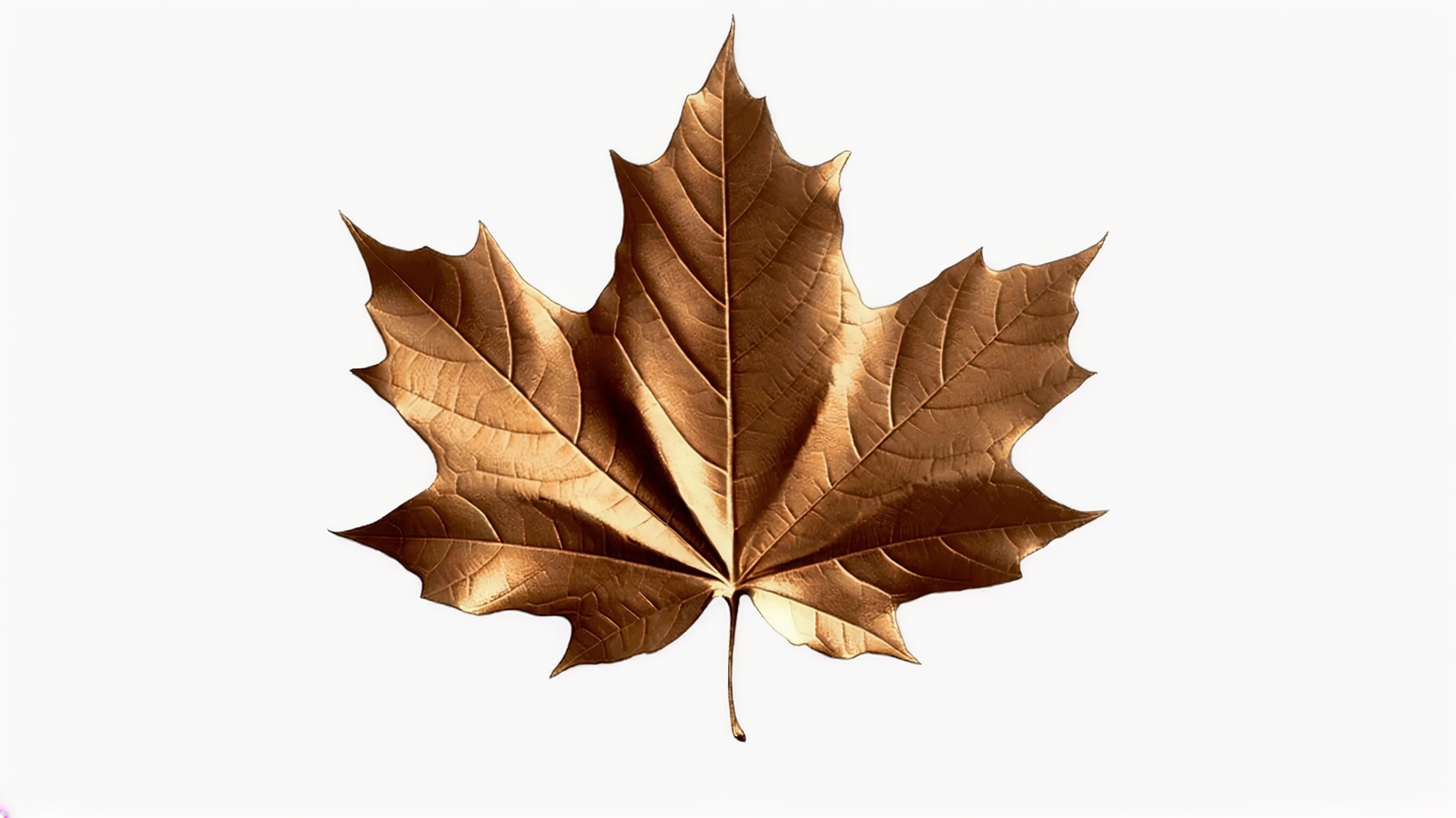 f05e4f16-958d-49c1-acd2-44d5adccb28e.png