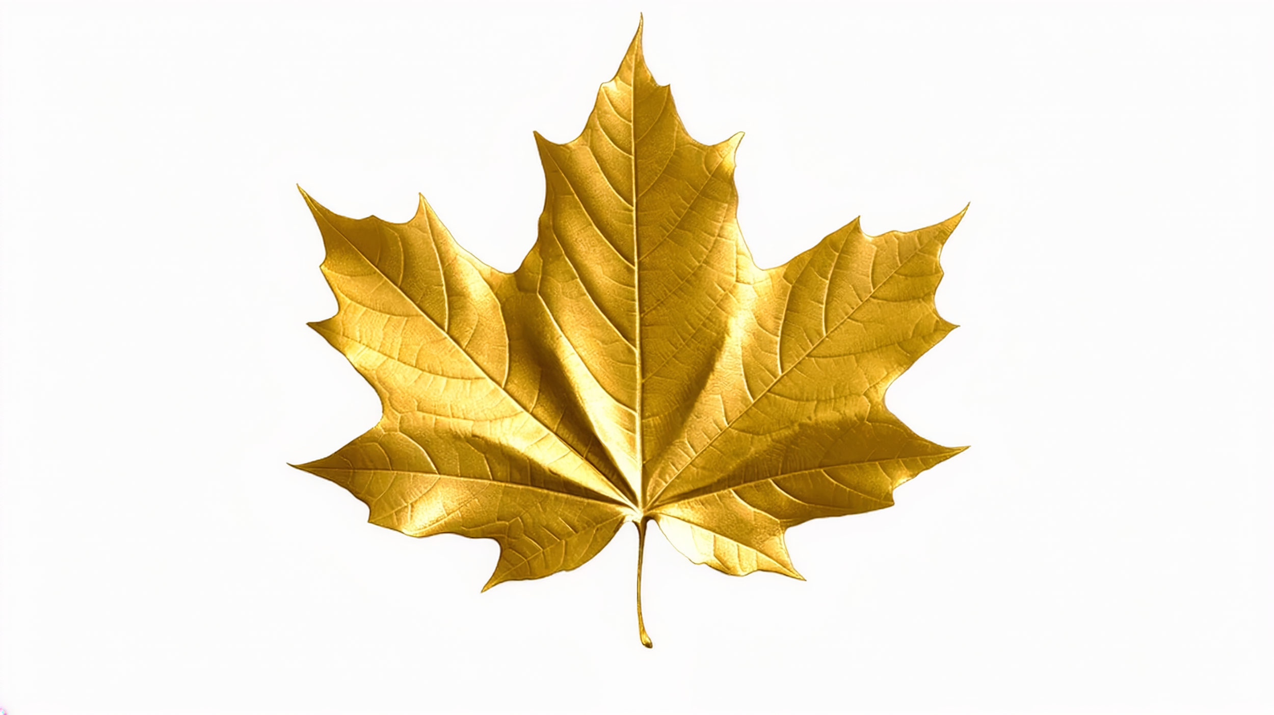 a3087d7c-e403-4349-882e-392241dcccbb.png