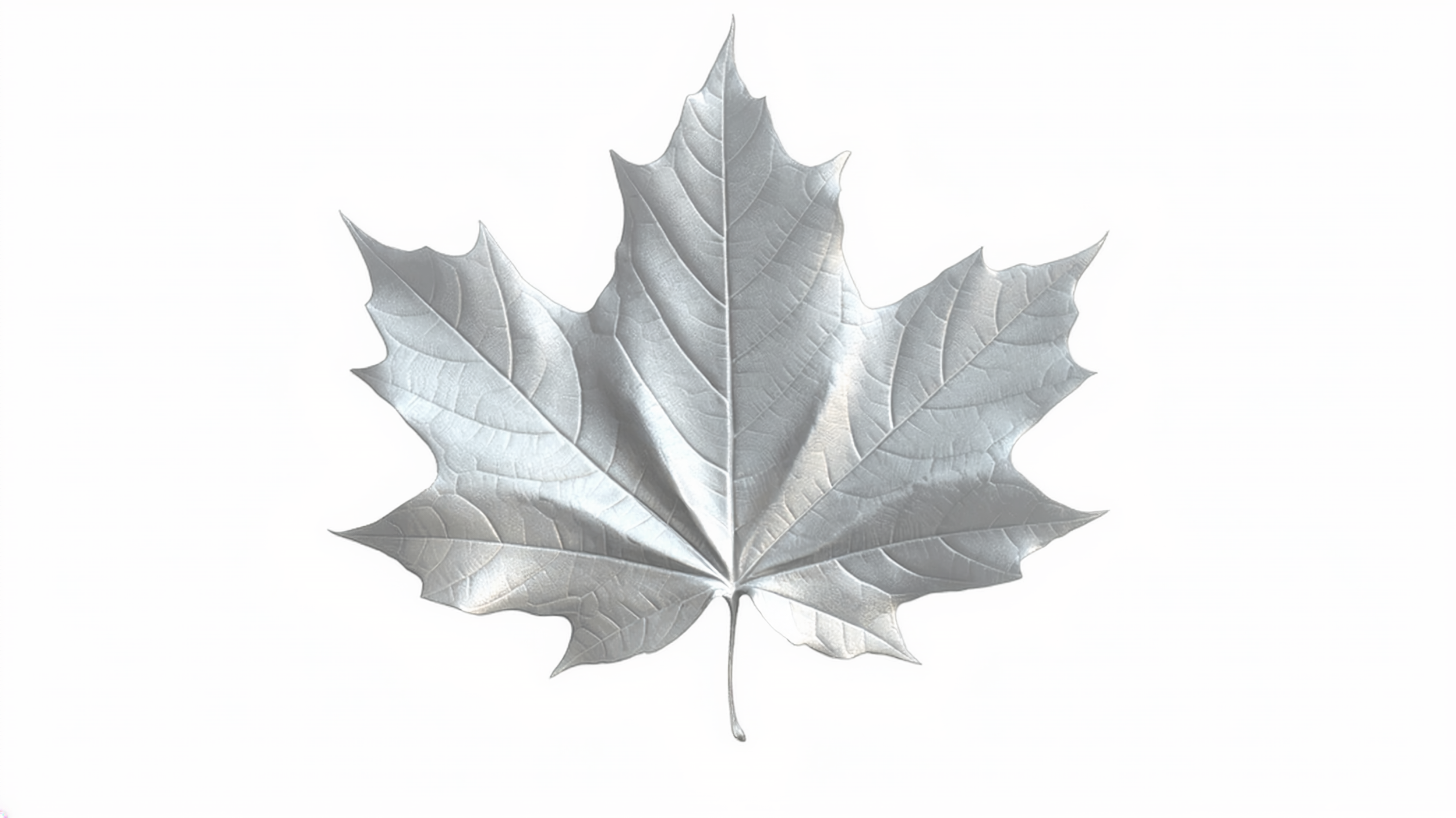 249230a6-5d94-477e-8345-5f4b564f5fbe.png