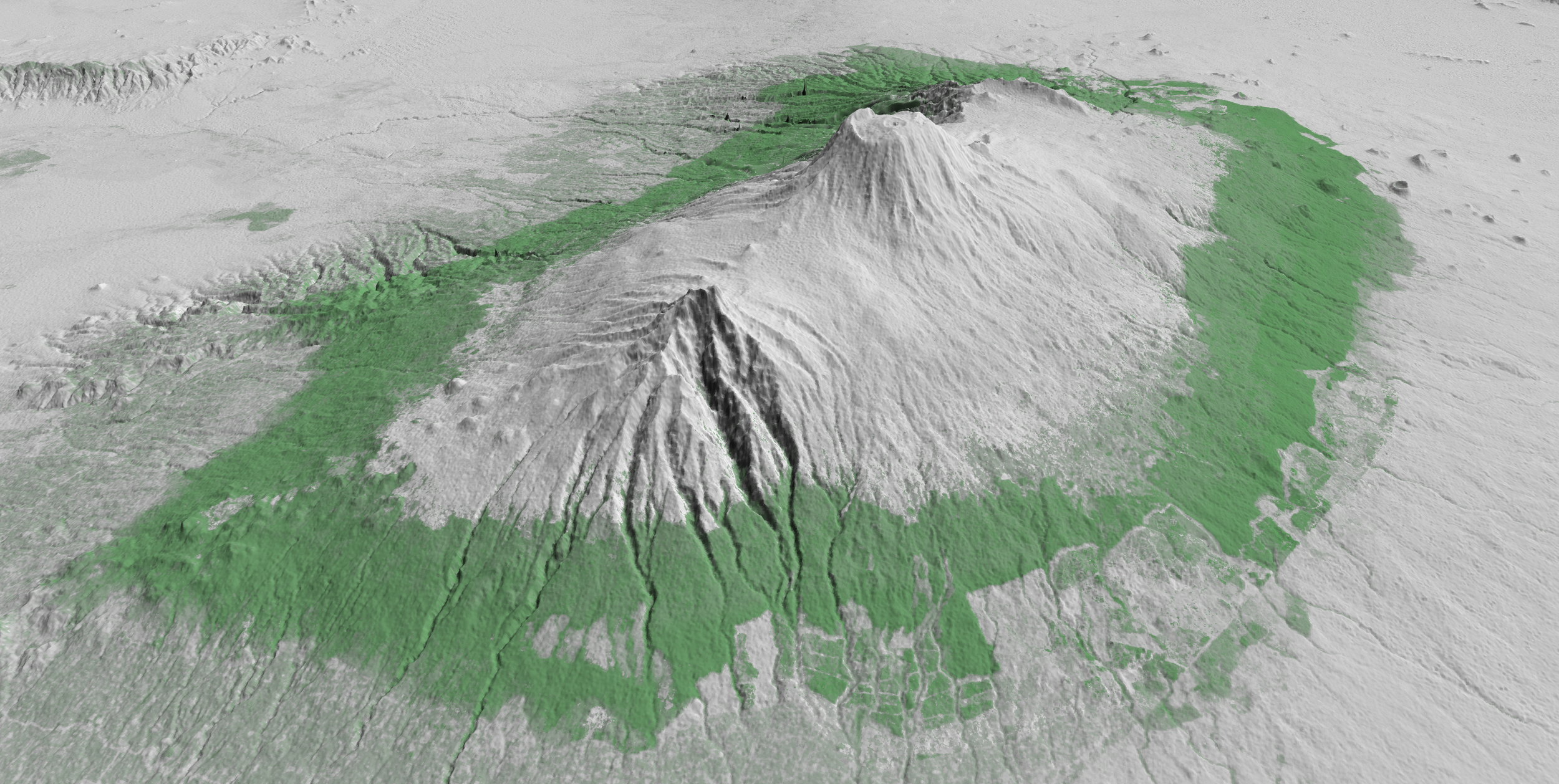 Hansen_treecover2000_3D_2X_06.png