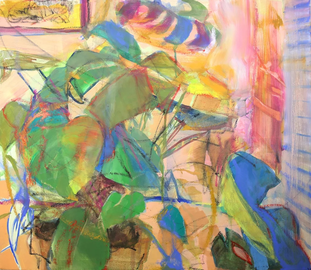 Lauren's Plant