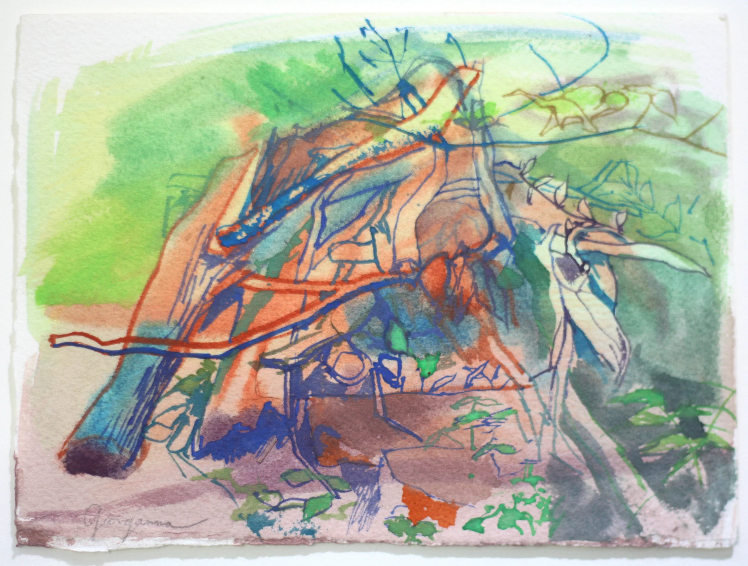 Stick Pile watercolor 8 x 10 inches framed