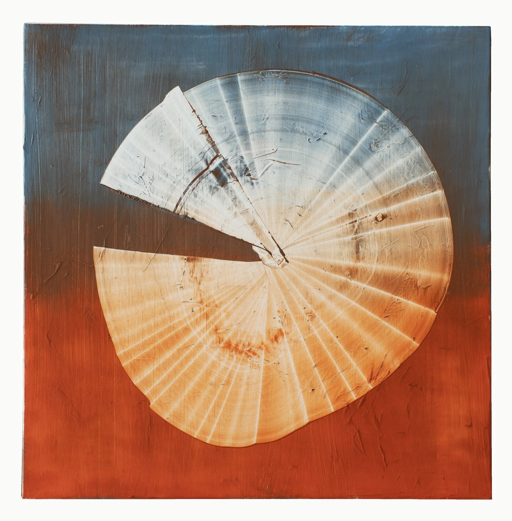Tree Rings 2 web.jpeg