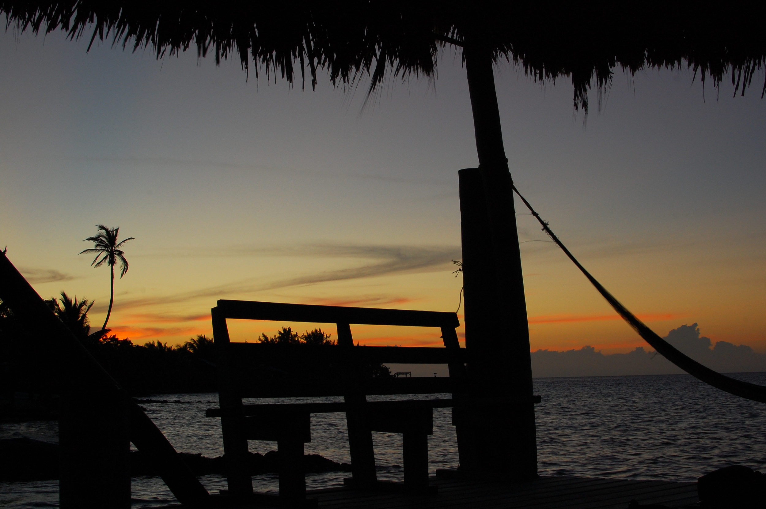 DSC_0064.jpg