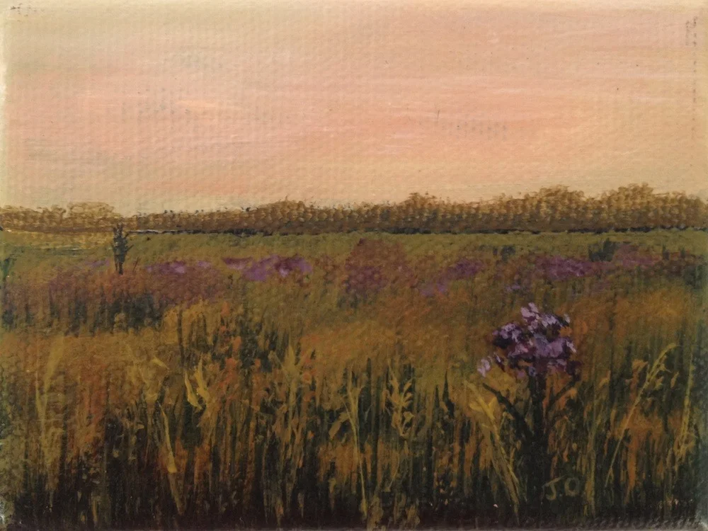 Warm Field
