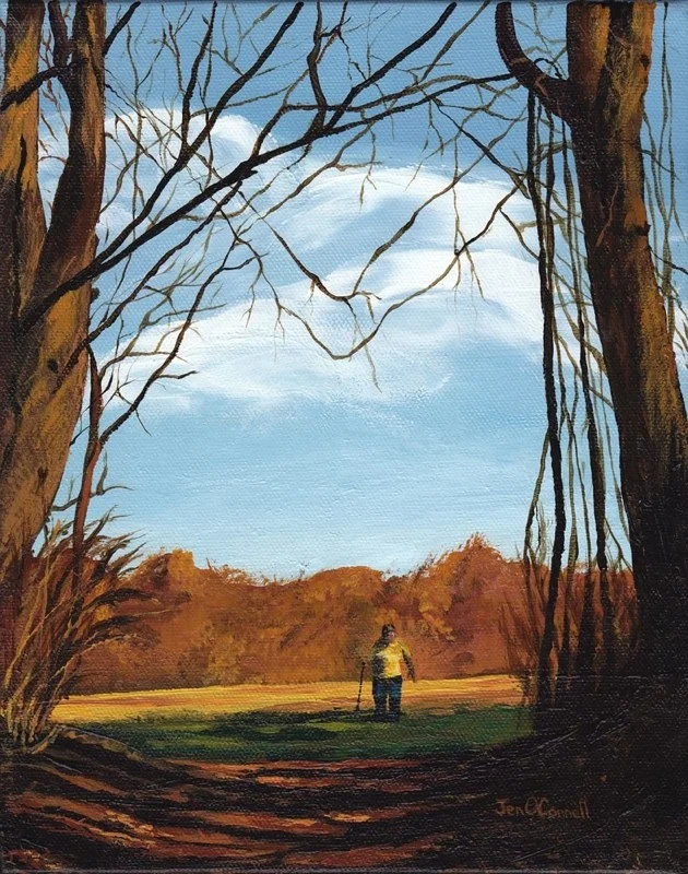 A Walk in the Woods