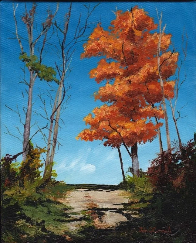 Path With Orange Tree