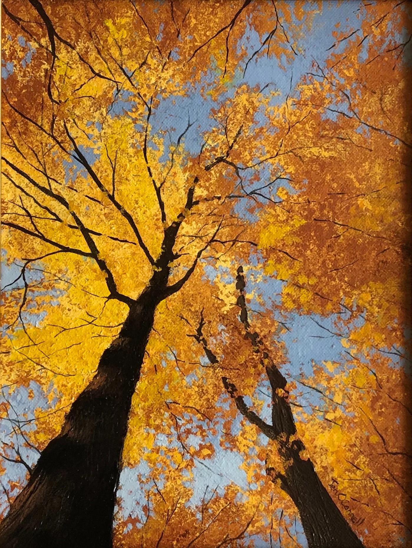 Orange Trees 14x18