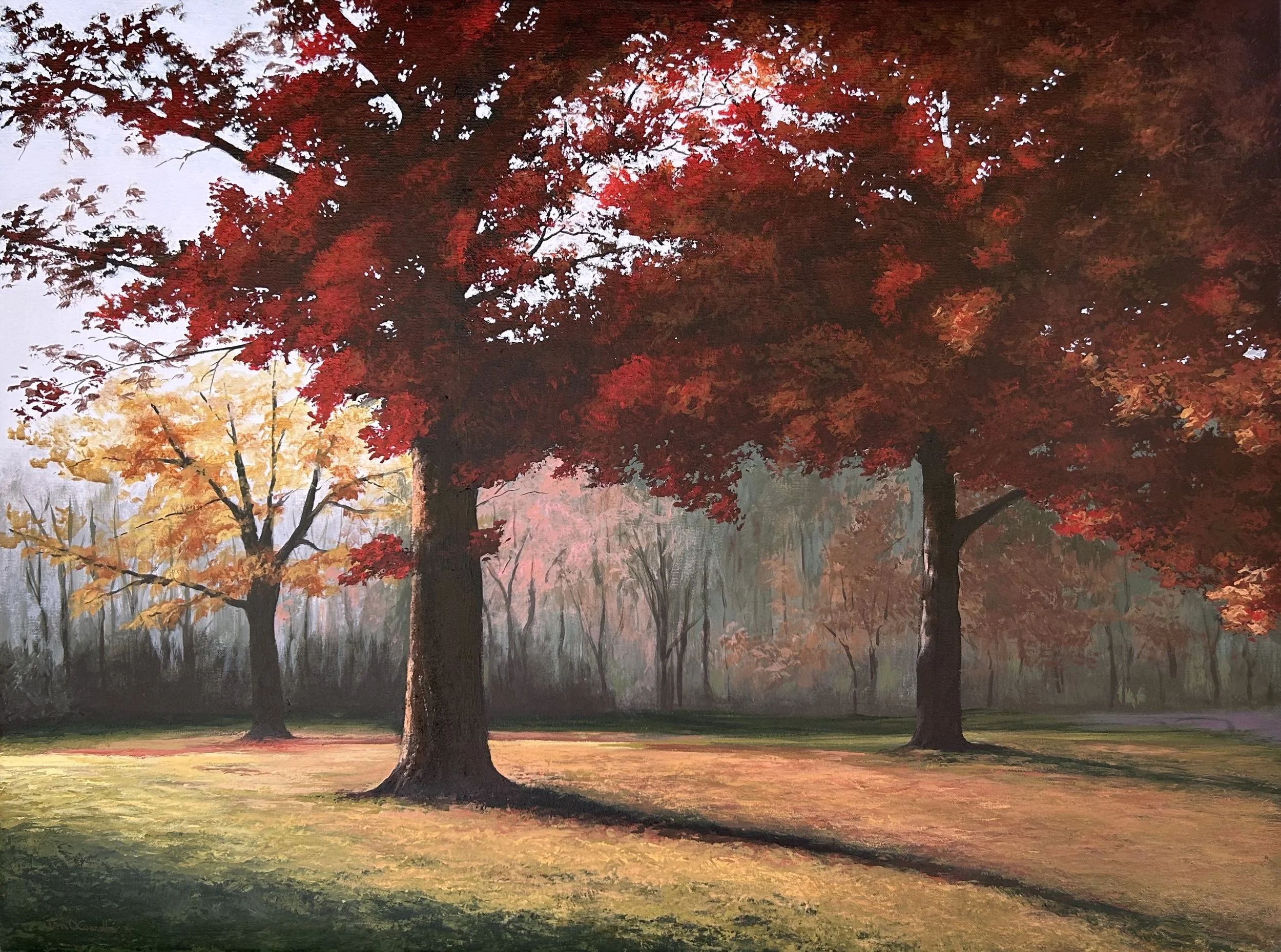 Evening Light in Autumn.jpg