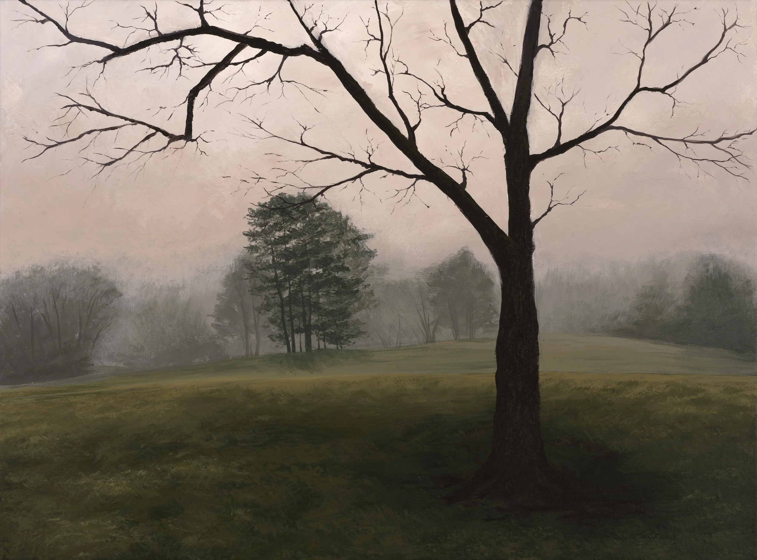 Morning Mist in the Park 24x18