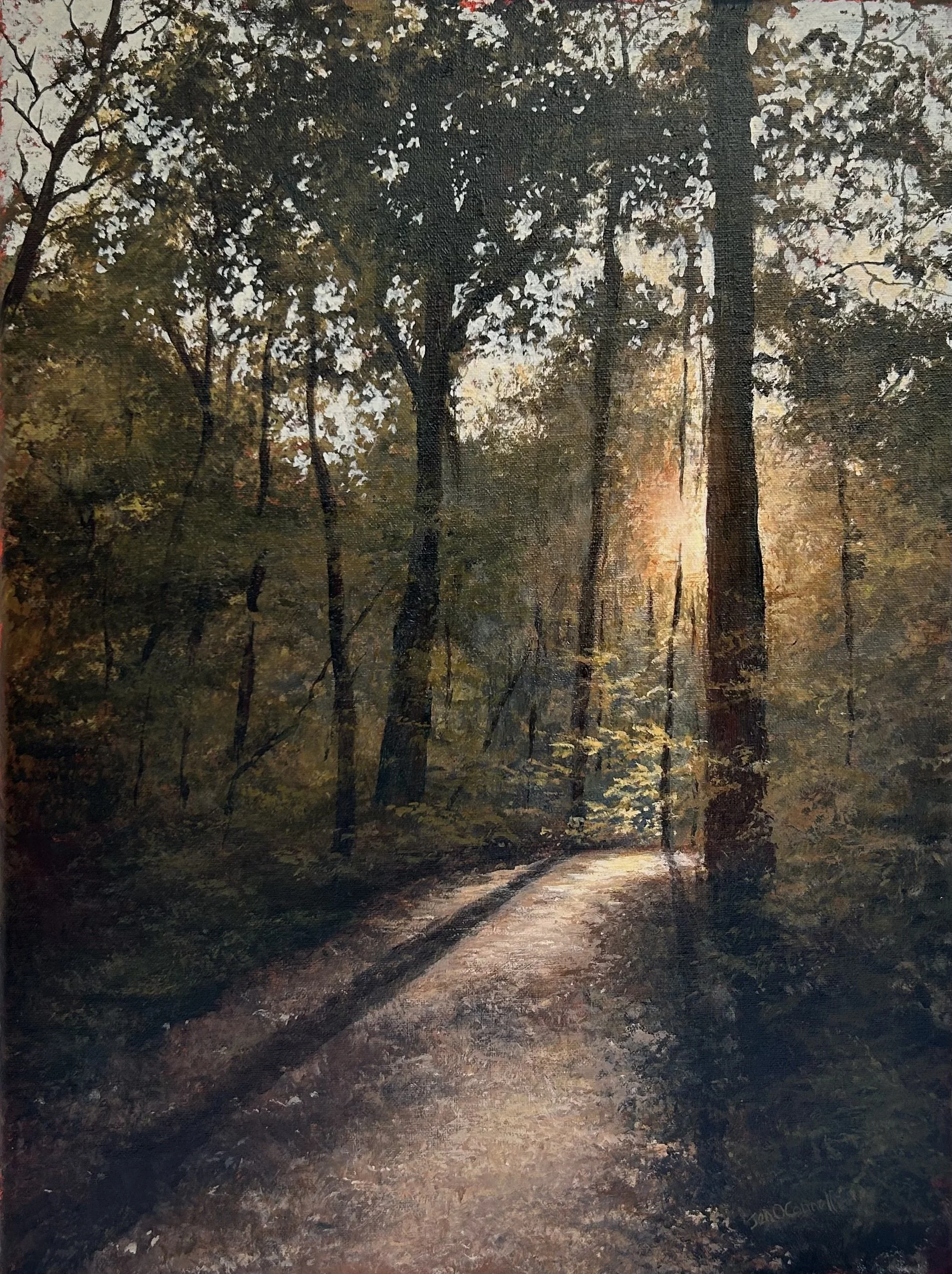 Golden Light 12x16