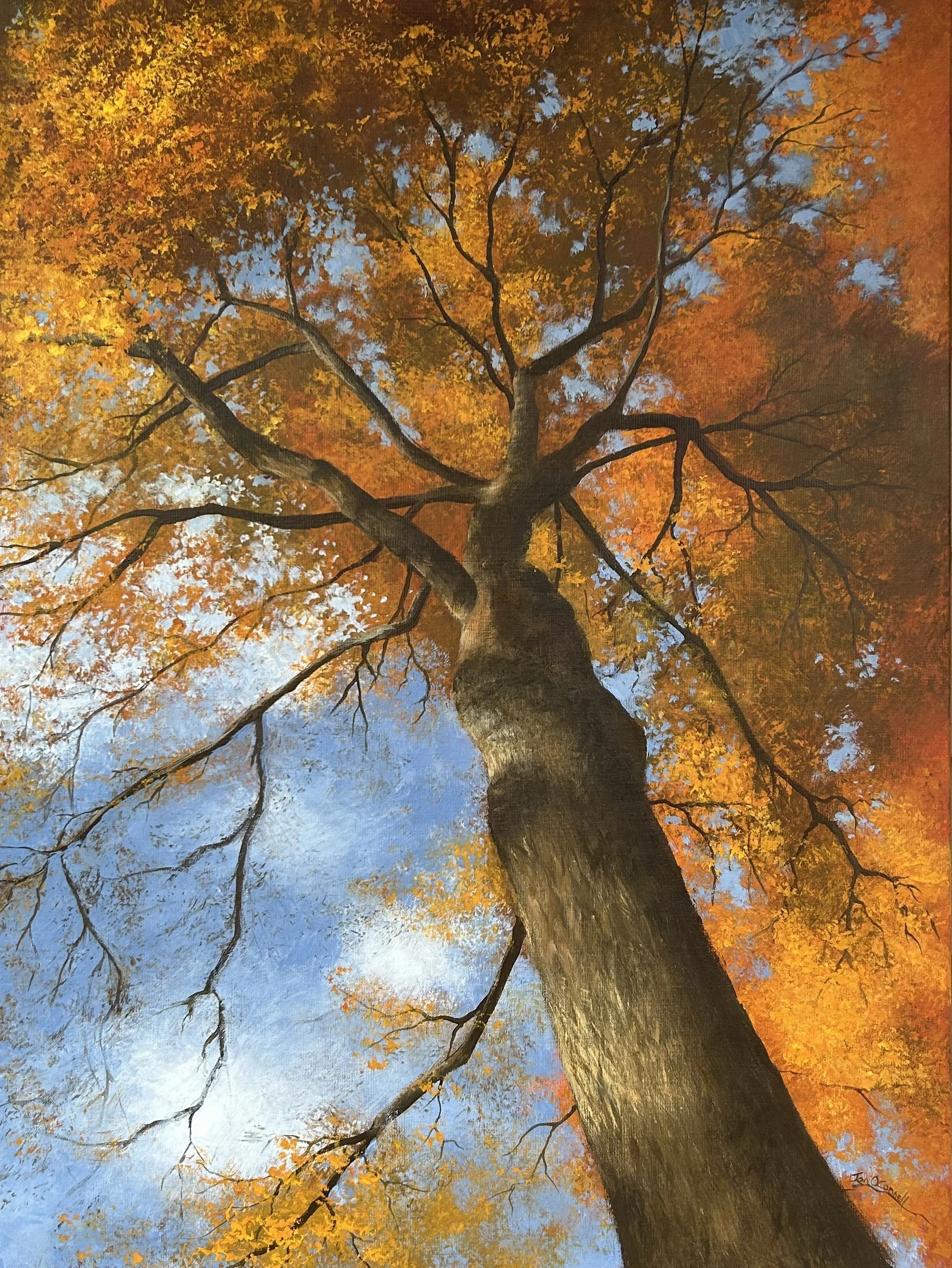 Dancing Tree 18x24 (Available)