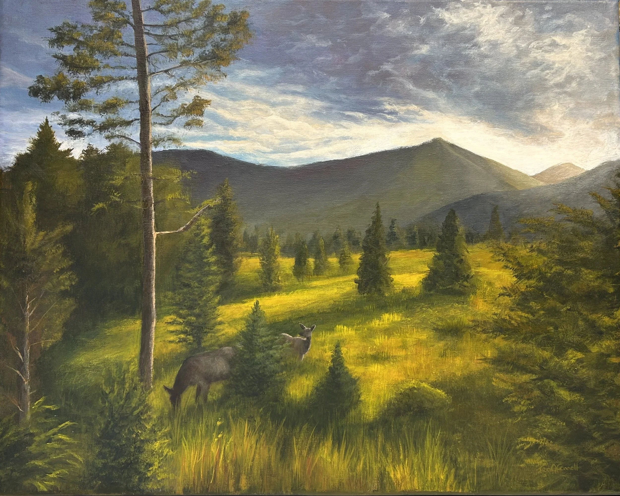 Illuminated Treasures 20x16 (Available)