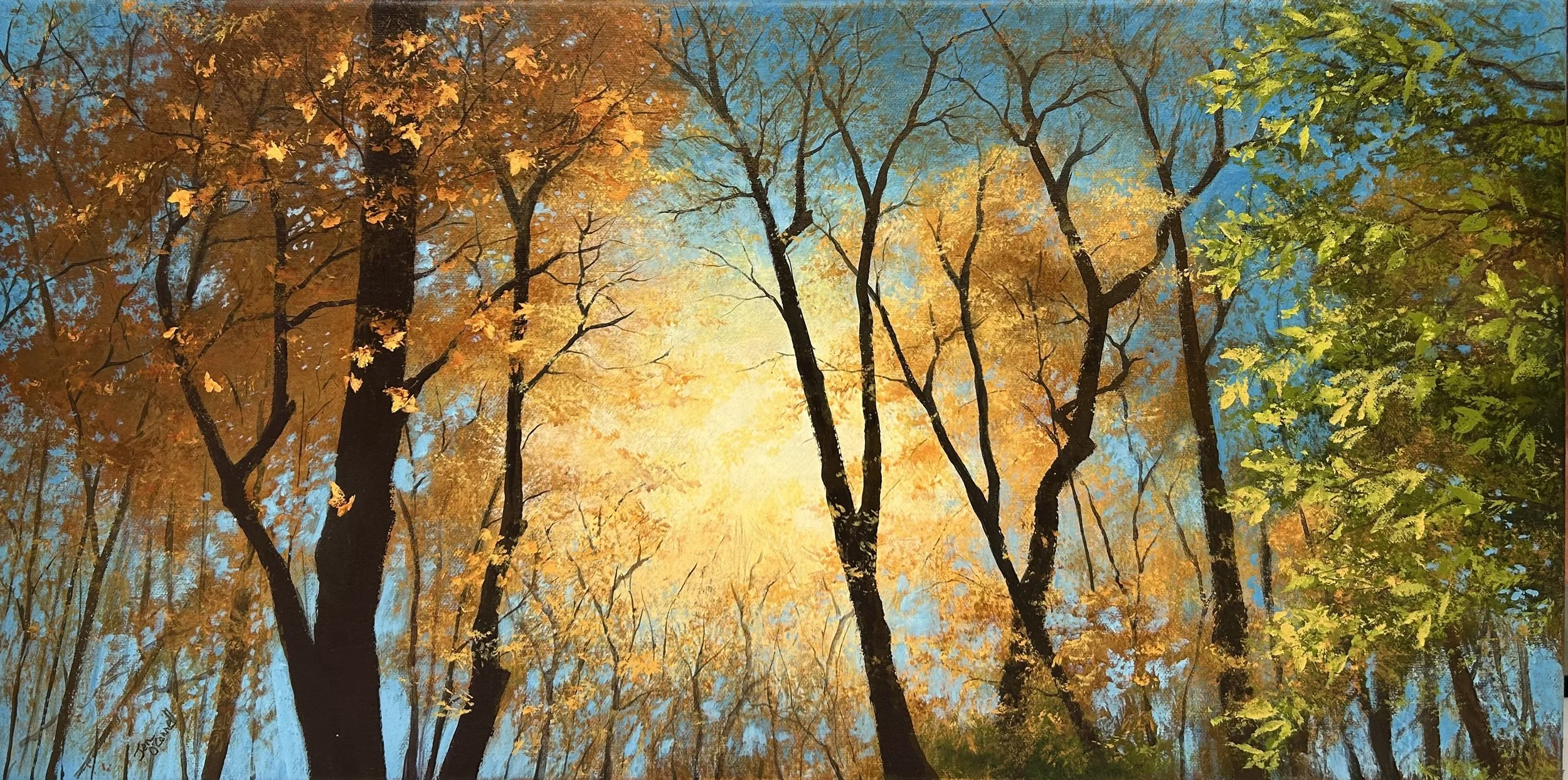 Warm Light in Autumn 24x12 (Available)