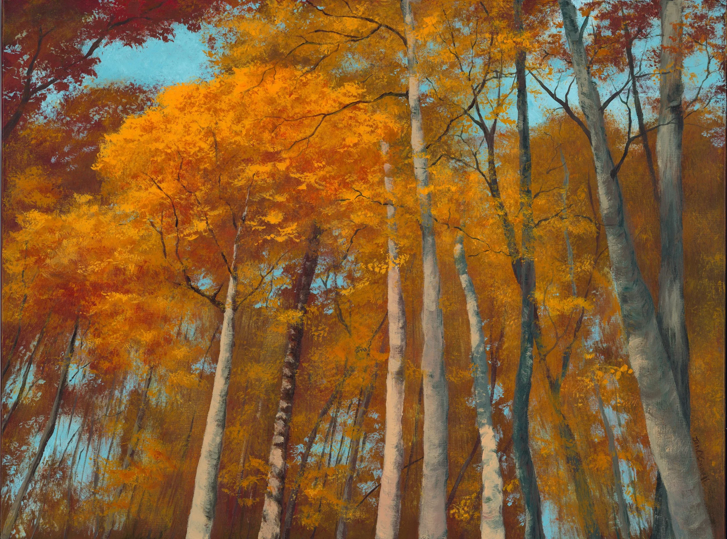 Forest of Orange 24x18 (Available)
