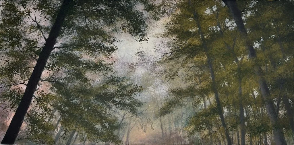 Light Through Mist and Trees.jpg