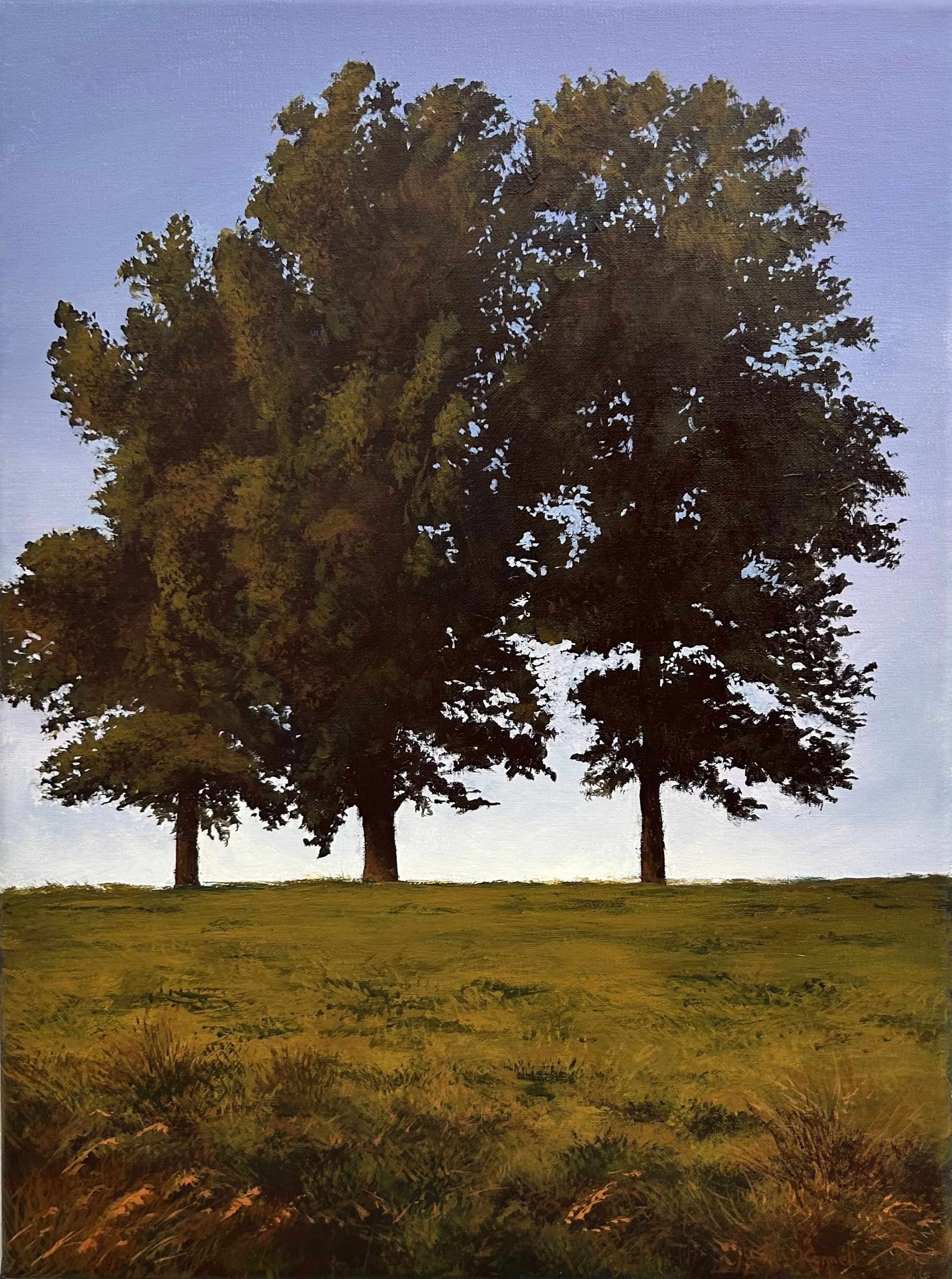 Three trees on Hill.jpg