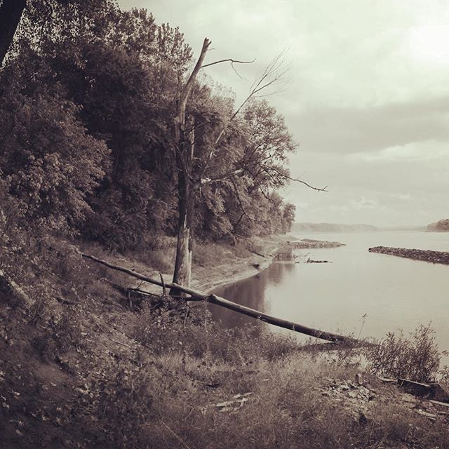 North bank of the Missouri River at Portland, Missouri...along the Lewis and Clark Trail (October, 2013; B/W image). || #geology #geologist #geomorphology #geography #biology #physics #chemistry #hydrology #engineering #math #missouri #river #oklahom