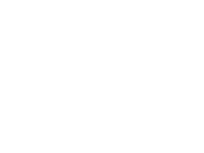 The Light Phone