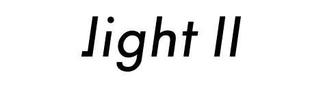 light2carrierlogo.jpg