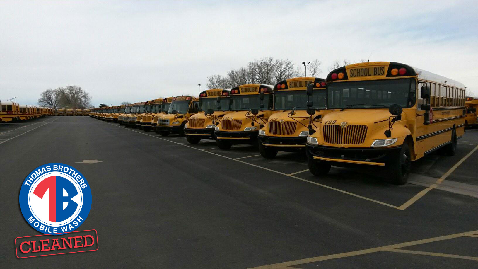 powerwashed_school_buses.jpg