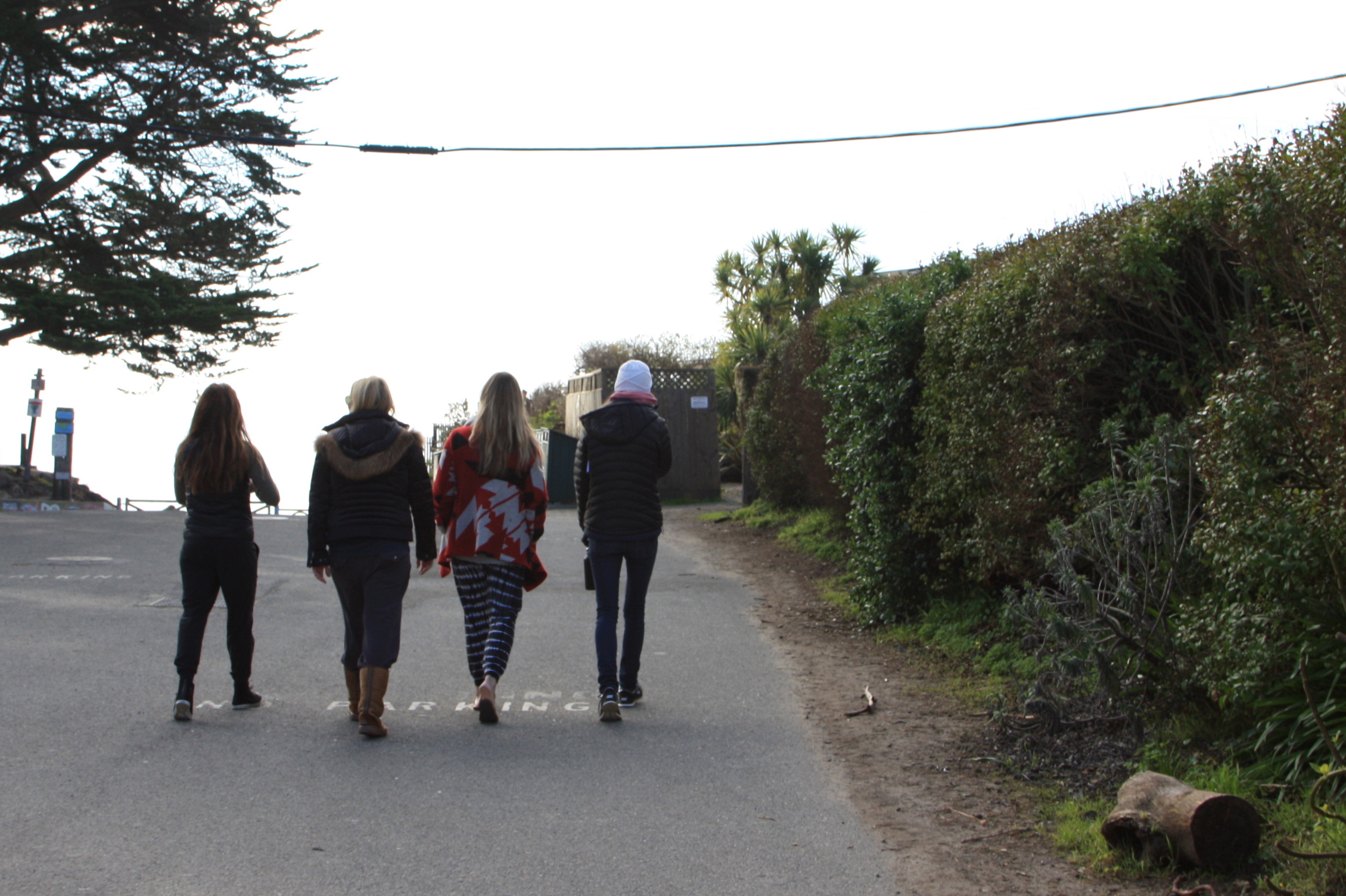 Group going to check conditions in Bolinas.
