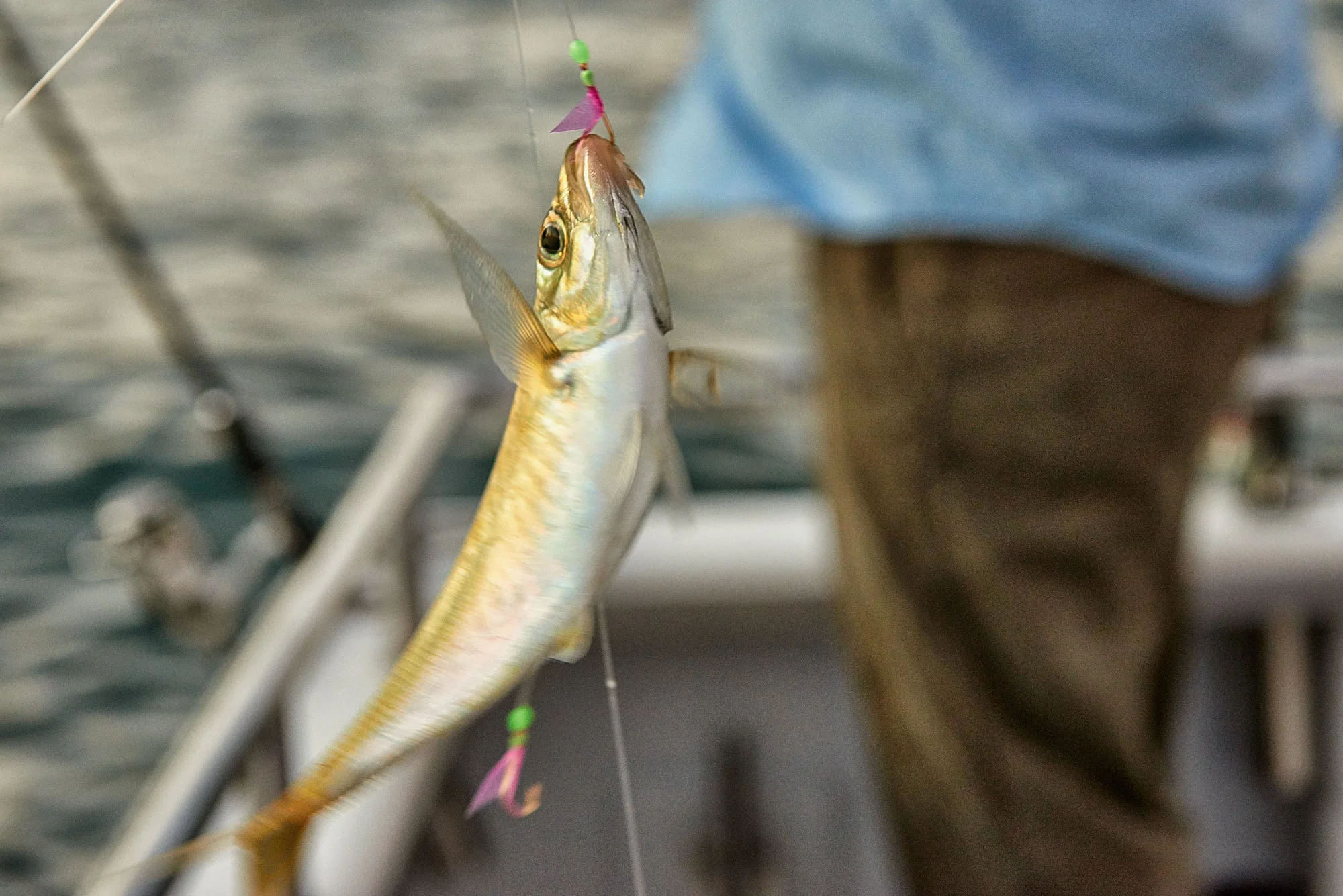 About — Terrigal Bluewater Fishing Charters