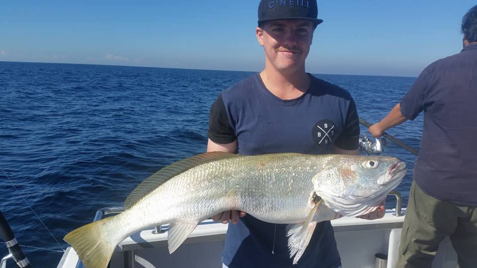 Gallery — Terrigal Bluewater Fishing Charters