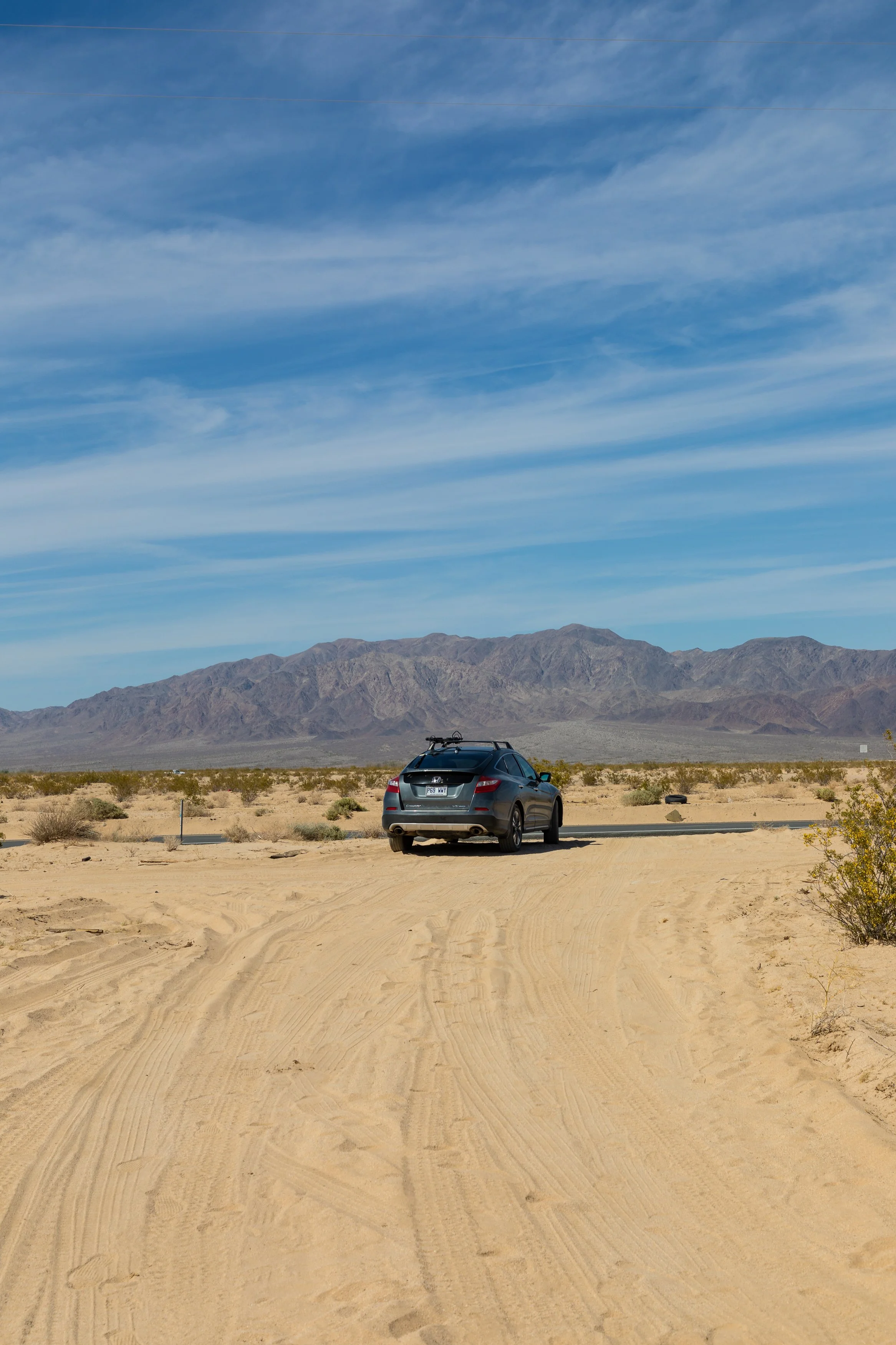 joshuatree_11.jpg