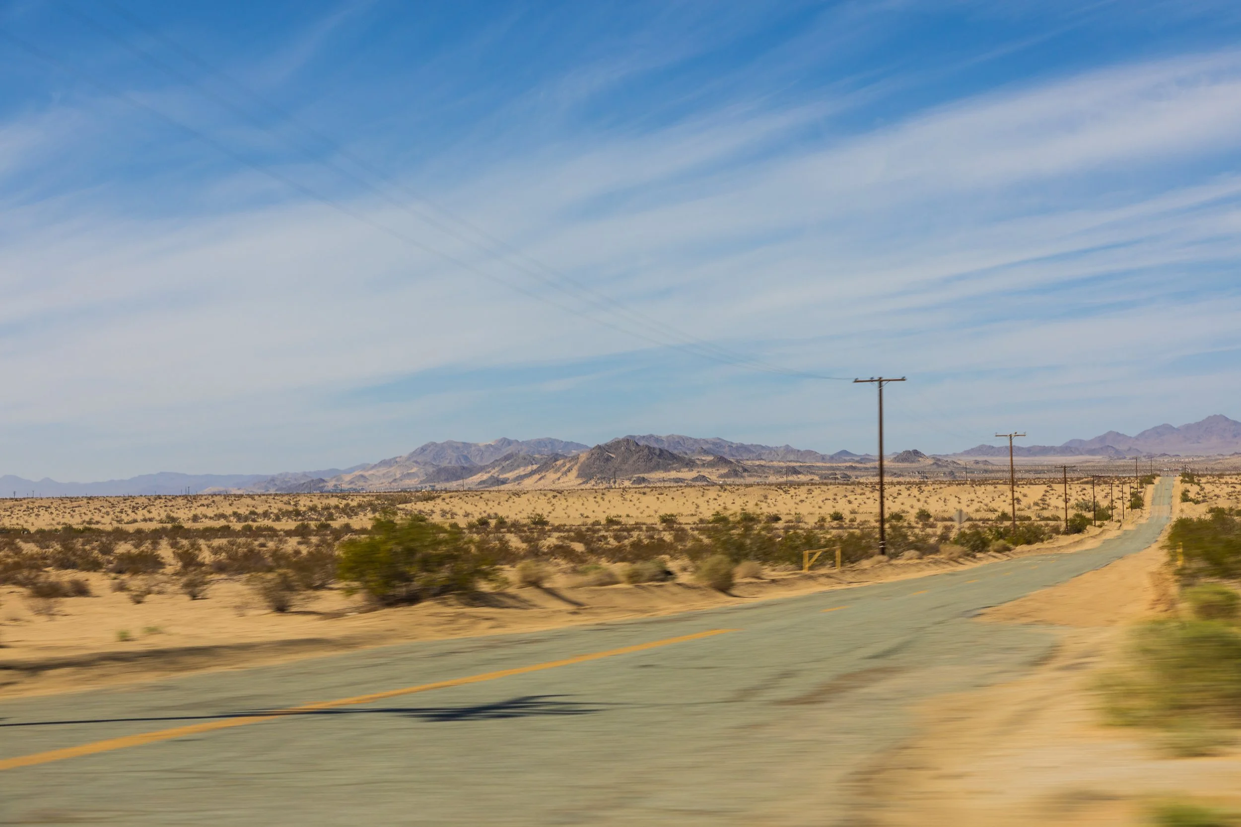 joshuatree_17.jpg