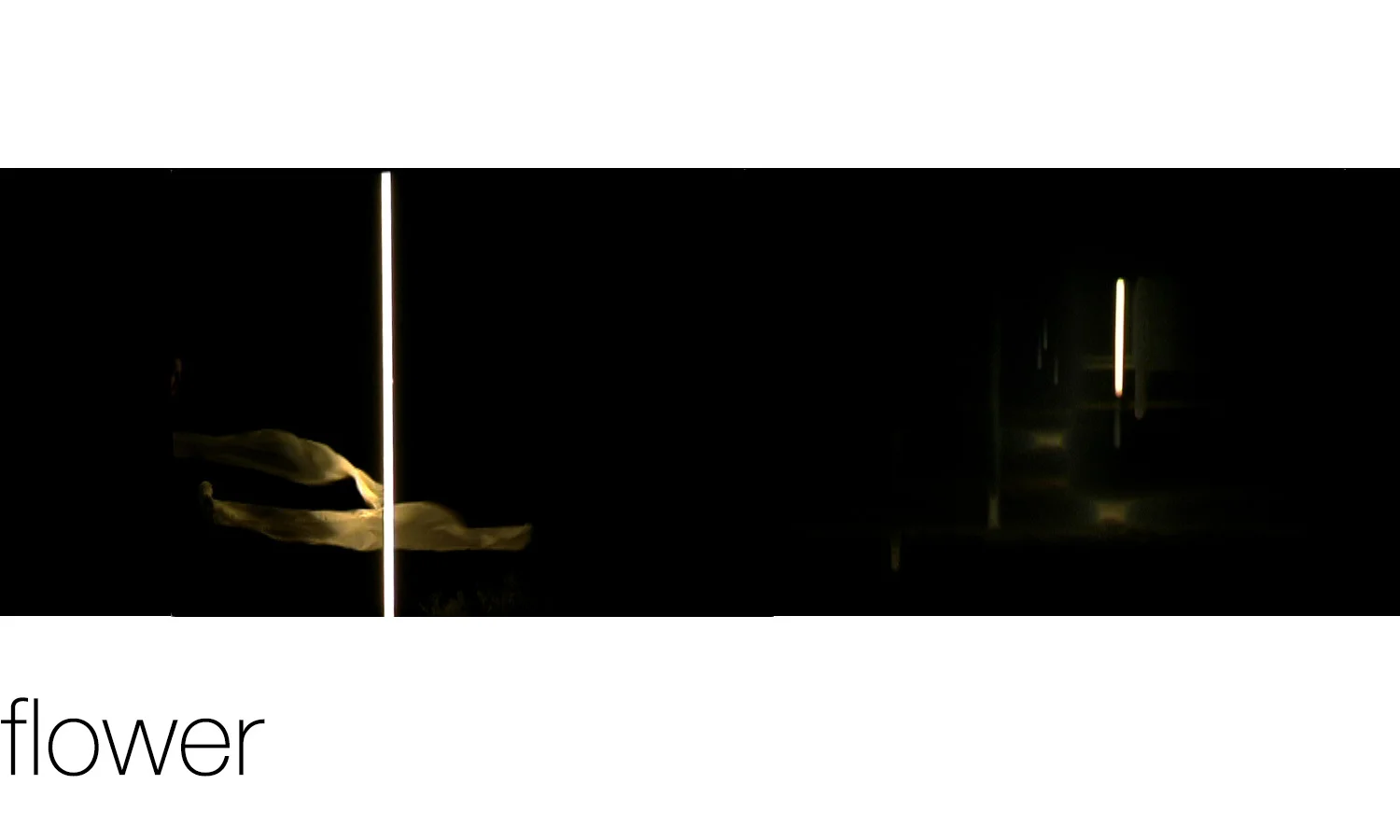 flower (2005)