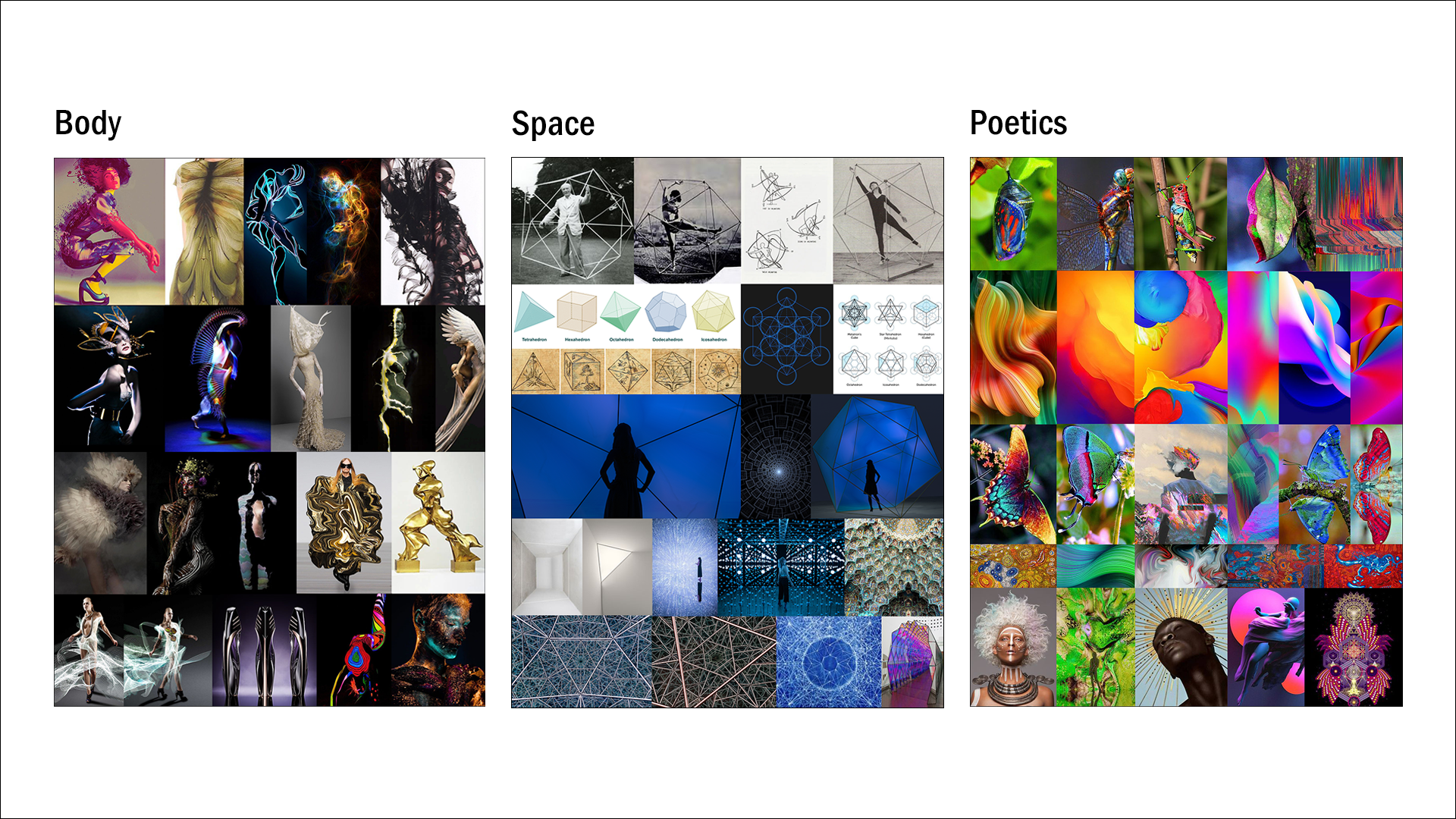 somatic-canvas-3.png