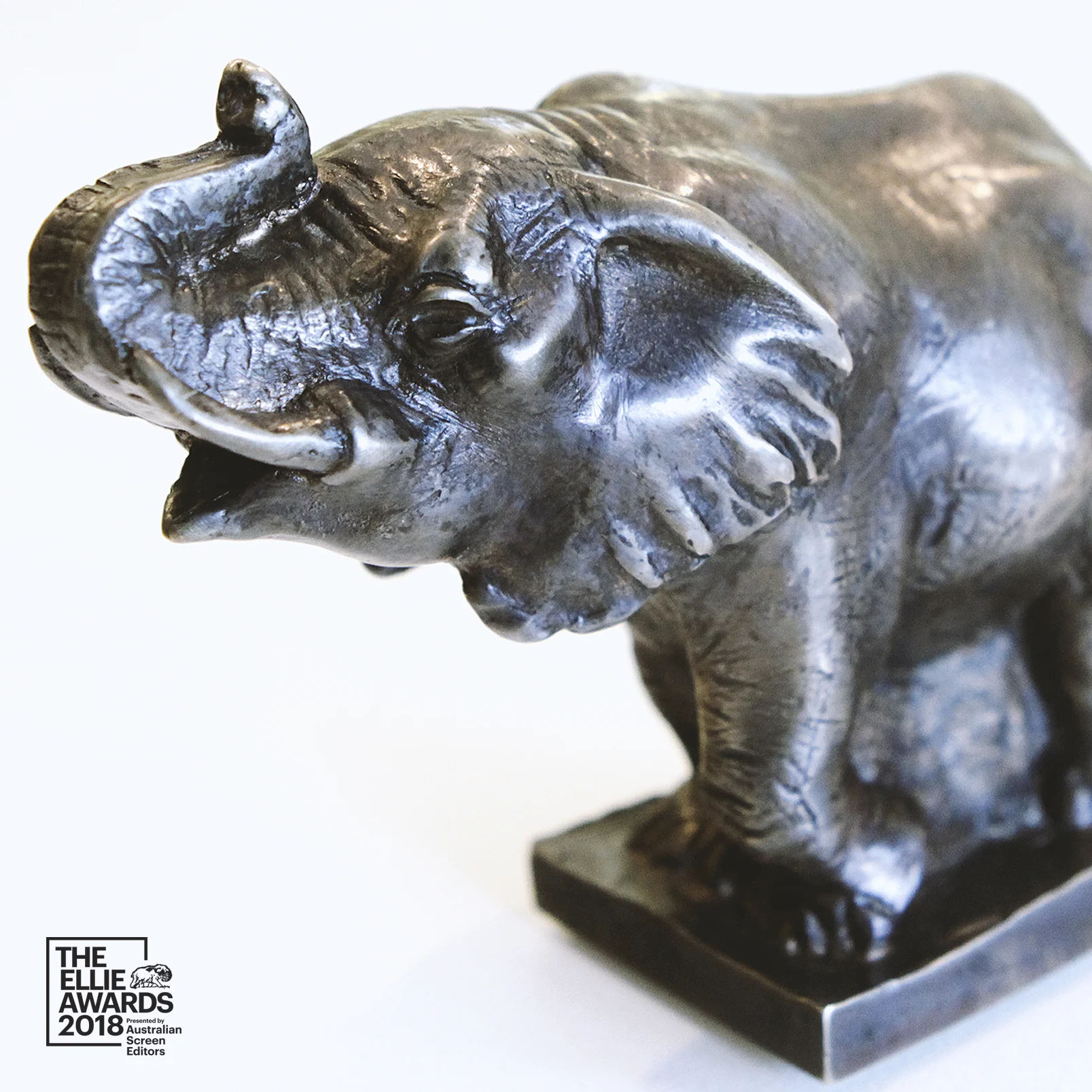 ASE_AWARD_3_Sq.jpg