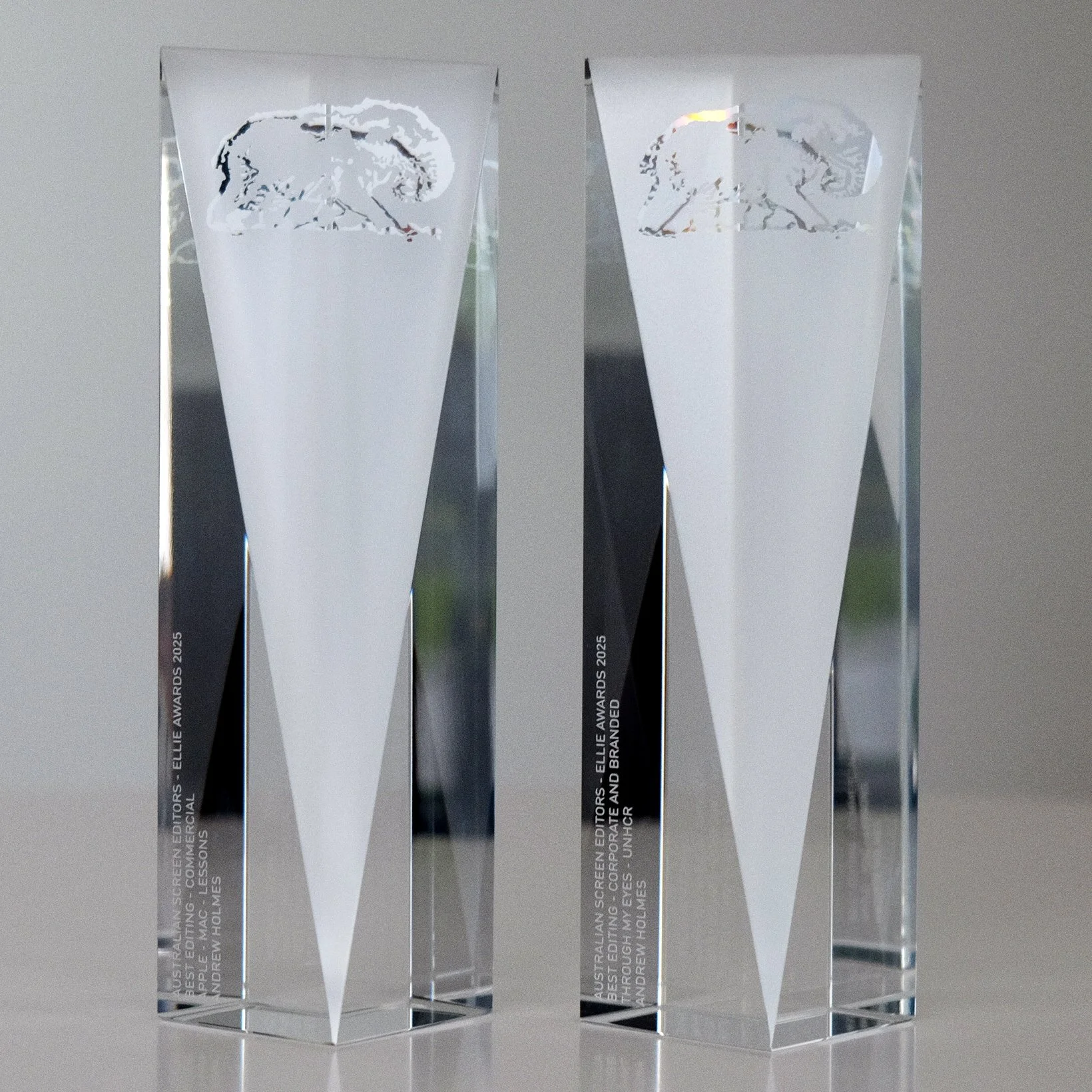   Best Editing (X2) - Australian Screen Editors Awards 2025  