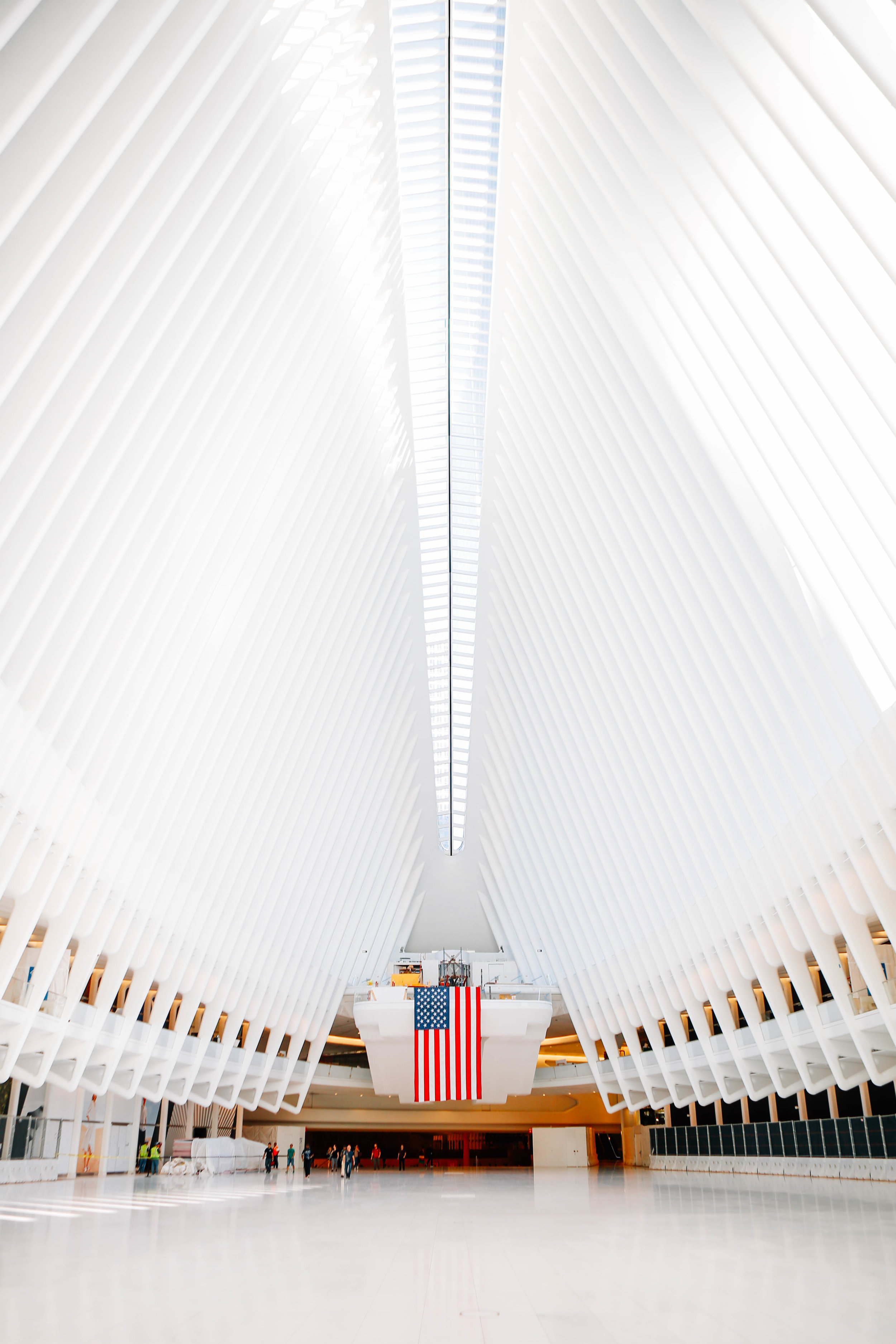 wtc1.jpg