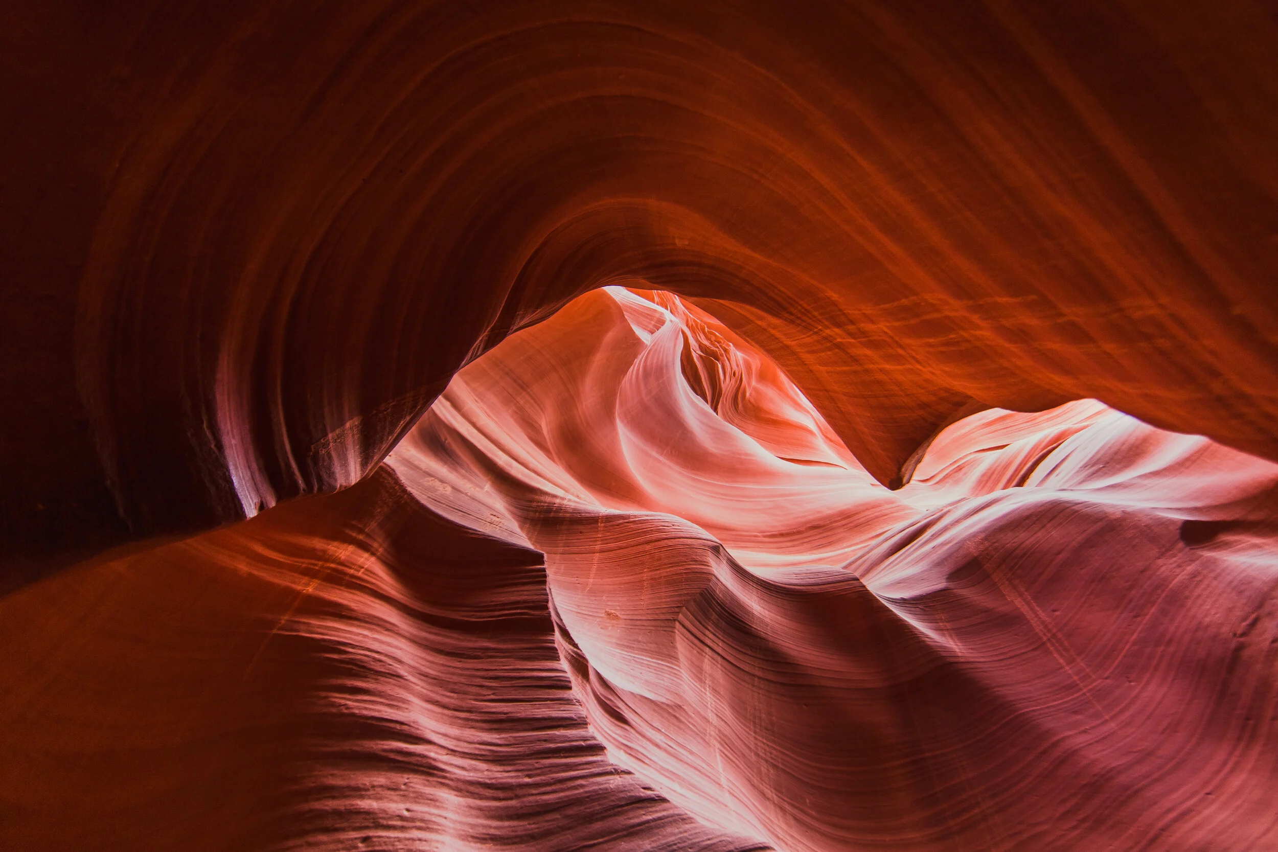 antelope-3.jpg