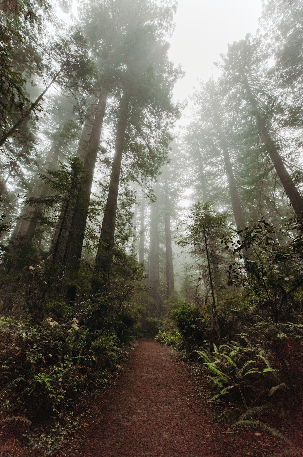 Screen Shot 2020-02-04 at 8.20.14 PM.png