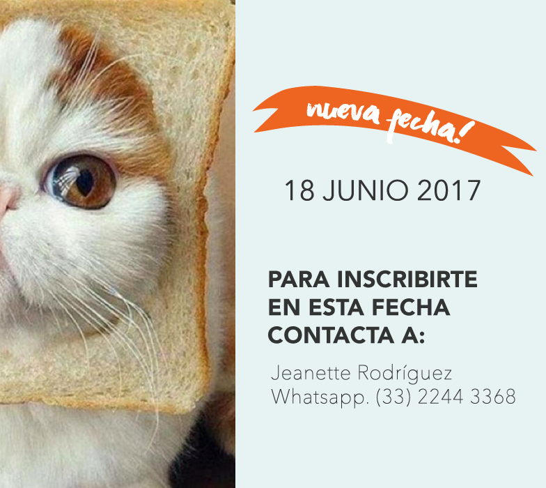 NUEVA-FECHA-DOMINGO.png