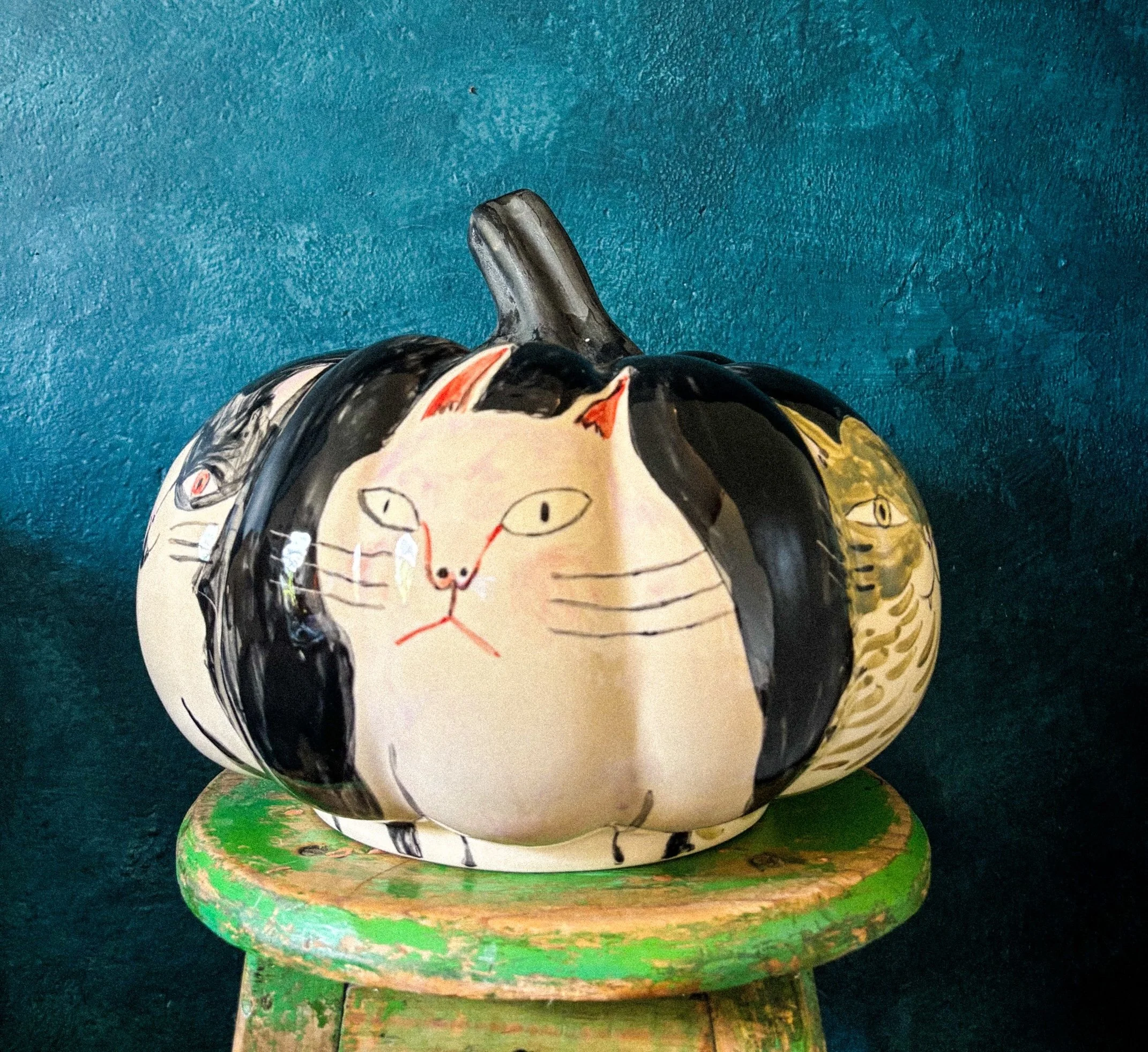 Calabaza Cosecha Felina