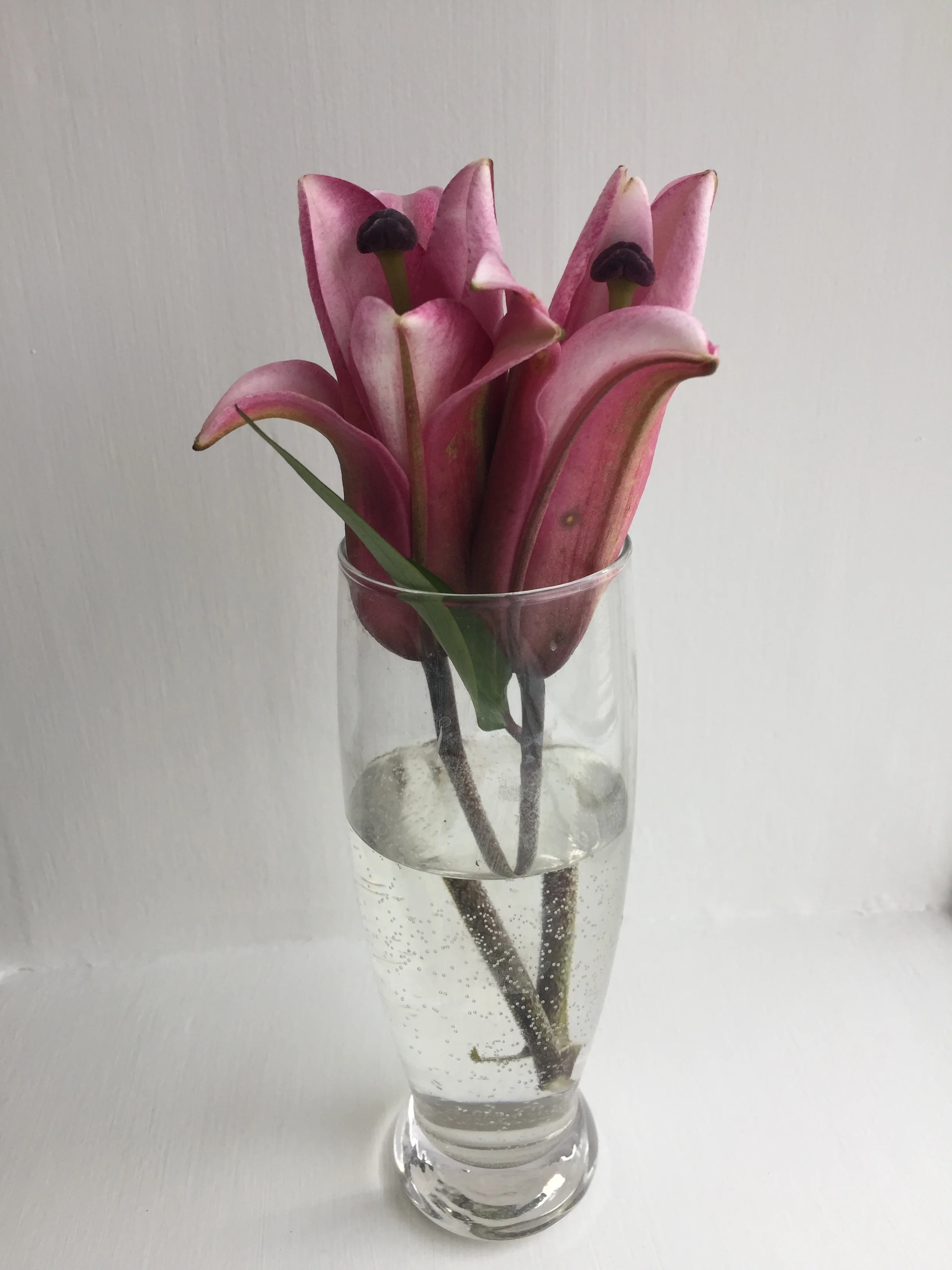 Successfully practicing gratitude and law in 2018