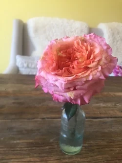 “You will spread it most effectively by embodying it.”  - on living a mindful and healthy life