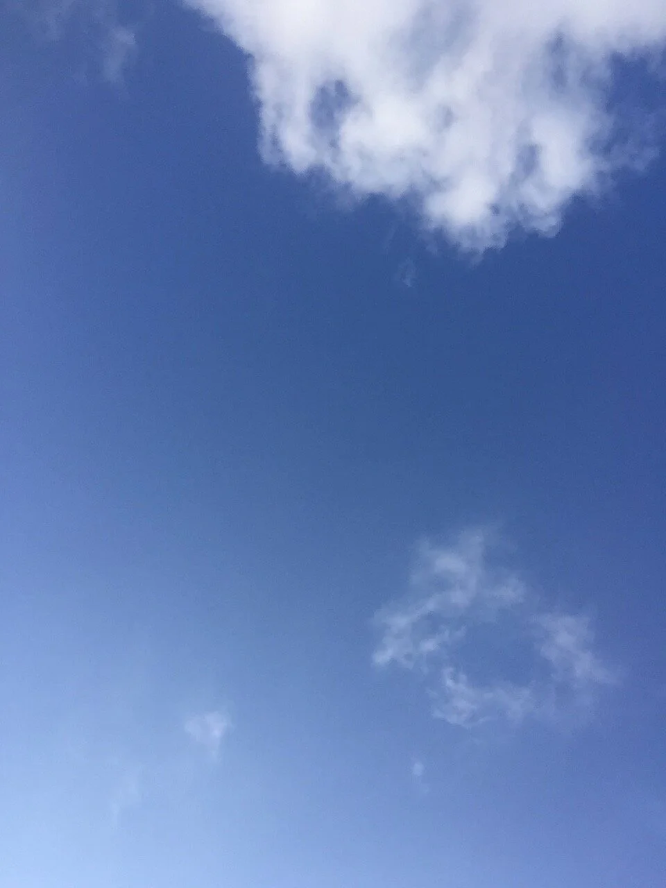 2 WEEKS FROM THE BAR EXAM