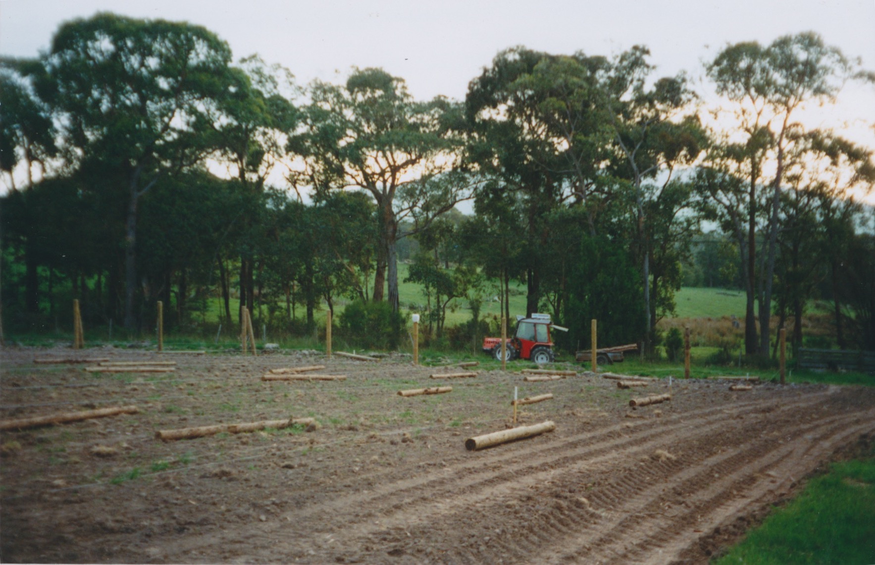 Poles going in - south block chardonnay