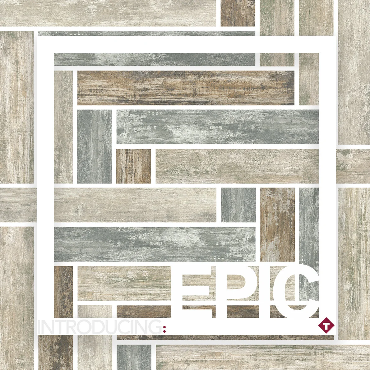 Introducing A First Look Topcu Tile + Stone